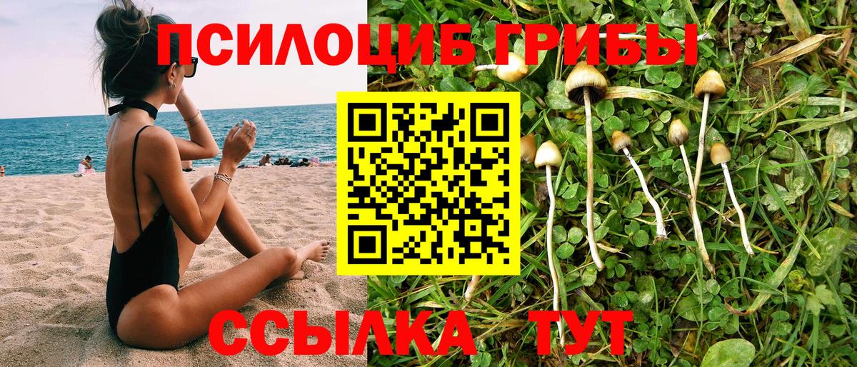 Каменка  Галлюциногенные грибы ЛСД  где найти наркотики  Вход с VPN 