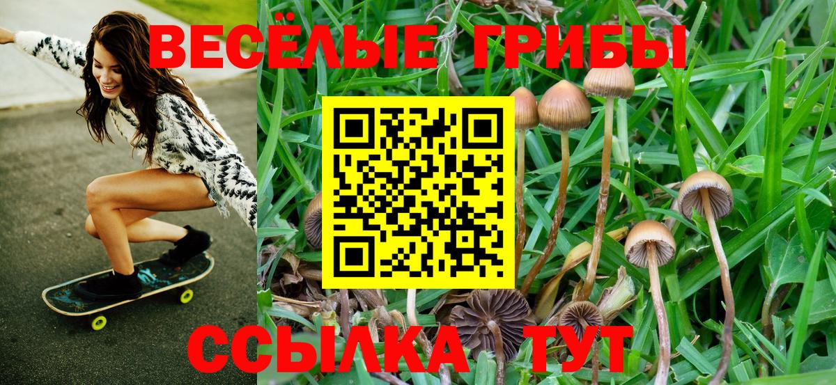Галлюциногенные грибы мицелий Каменка