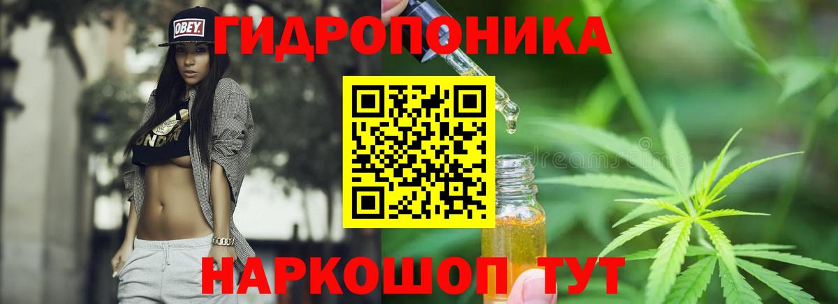 Марихуана гибрид  Вход с VPN  МАРИХУАНА план  Марихуана тримм  Конопля марихуана  Каменка 